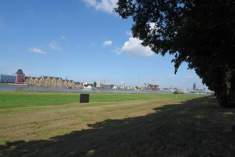 rhein