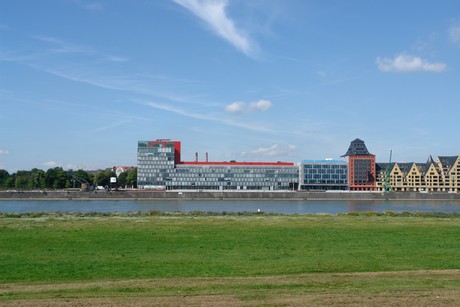 rhein