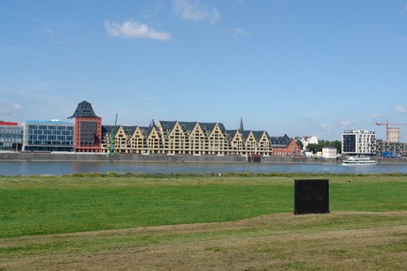 rhein