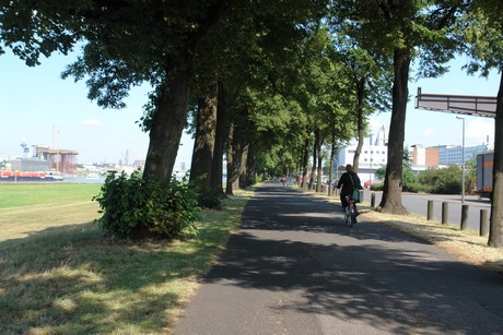 rhein