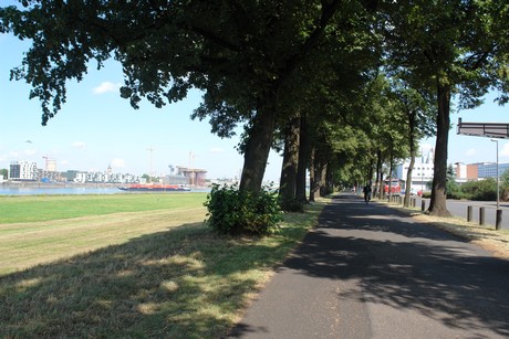rhein