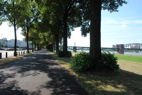 rhein