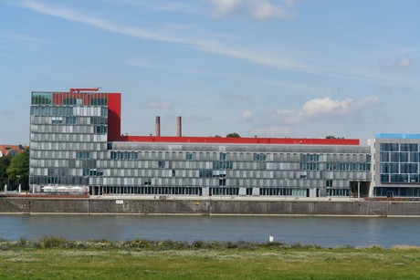 rhein