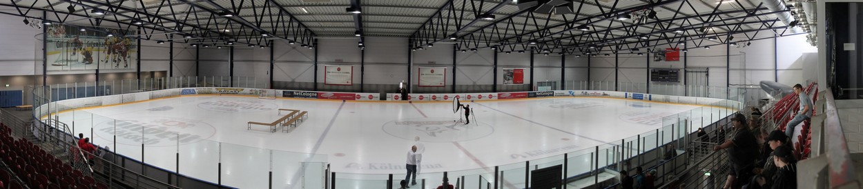 Kölner Haie