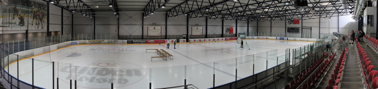 Kölner Haie