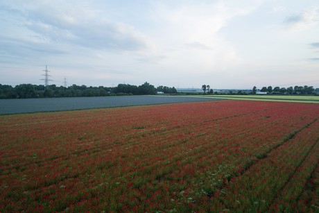 Bayenthal