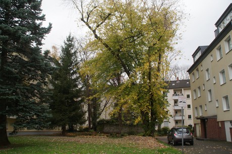 Altstadt