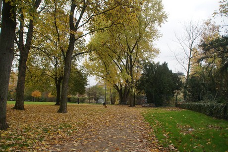 Altstadt