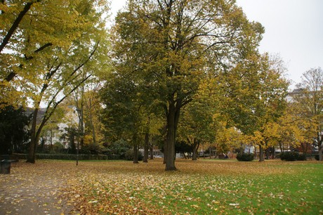 Altstadt