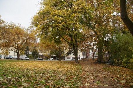 Altstadt