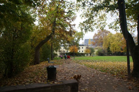 Altstadt