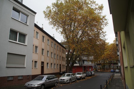 Altstadt