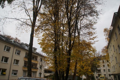 Altstadt