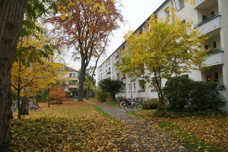 Altstadt