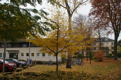 Altstadt