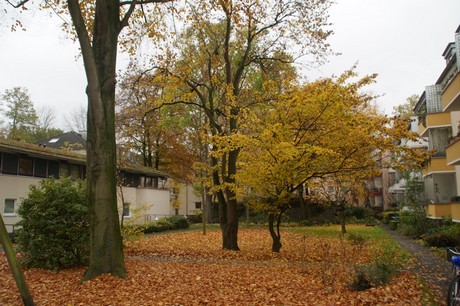 Altstadt