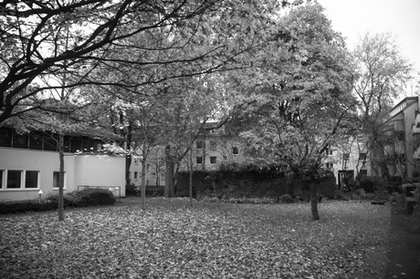 Altstadt