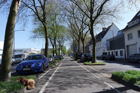 bickendorf