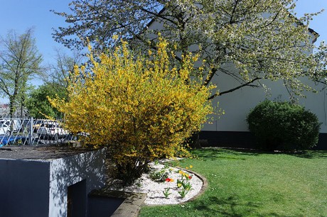 bickendorf