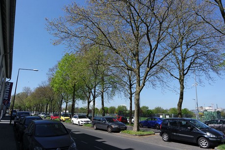 bickendorf