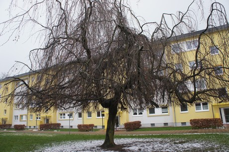 Bickendorf