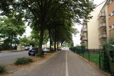 longericher