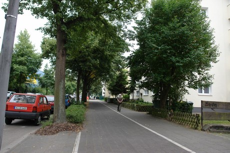 longericher