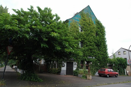 longericher