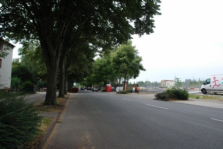 longericher