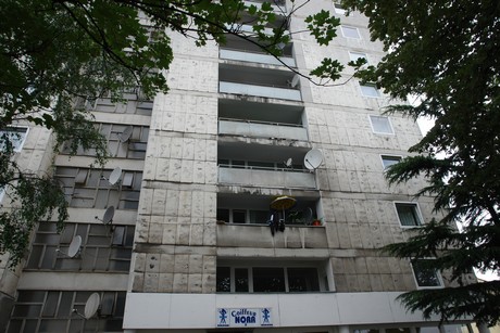 longericher