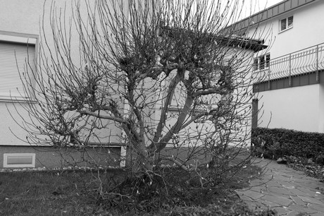bilderstoeckchen