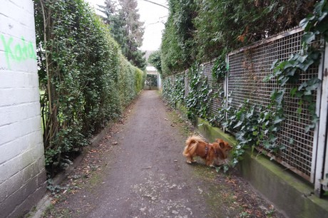 bilderstoeckchen