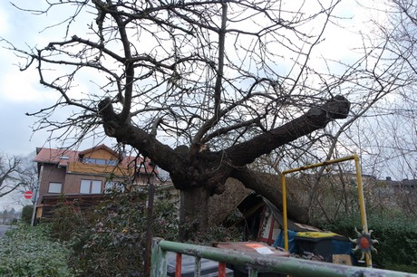 bilderstoeckchen