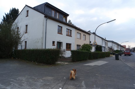 bilderstoeckchen