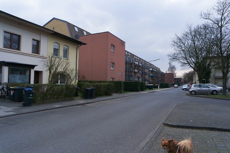 bilderstoeckchen