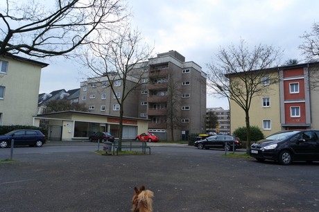 bilderstoeckchen
