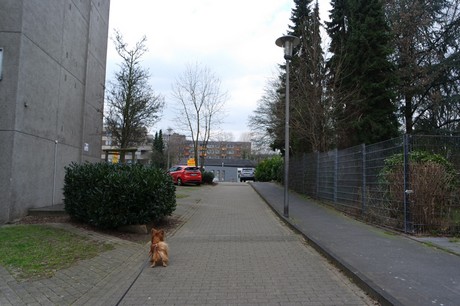 bilderstoeckchen