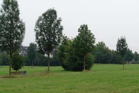 blumenberg