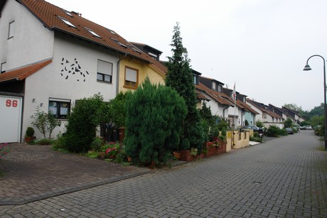 blumenberg