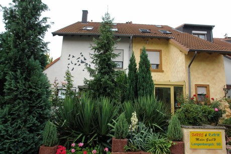 blumenberg