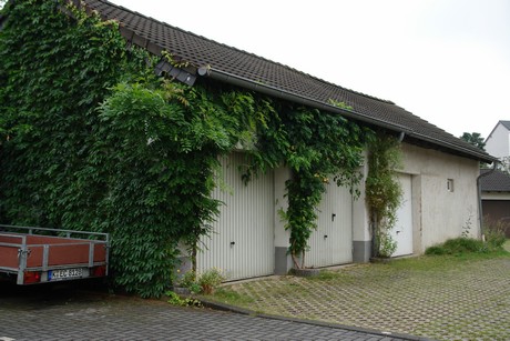 blumenberg