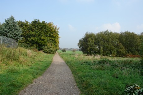 blumenberg