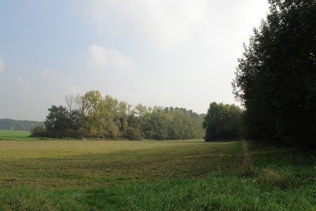 blumenberg