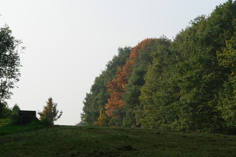 blumenberg