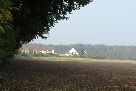 blumenberg