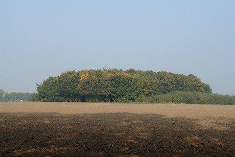 blumenberg