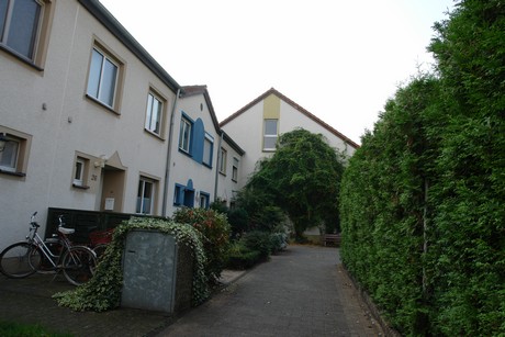 blumenberg