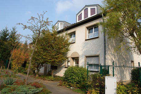 blumenberg