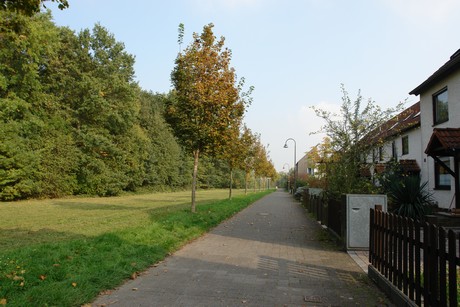 blumenberg