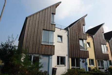 blumenberg